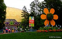 Festival Center