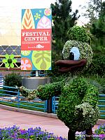 IMG 0947-001